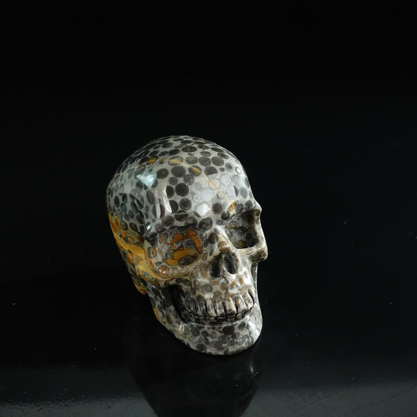 3.0" Leopard skin jasper Crystal Skull Carving - Unique Piece #LK06 - alternate view
