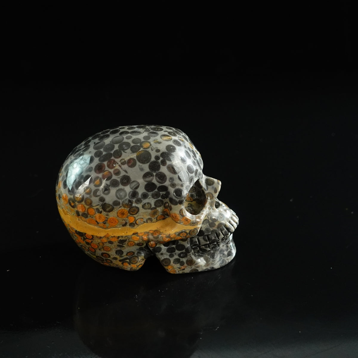 3.0" Leopard skin jasper Crystal Skull Carving - Unique Piece #LK06