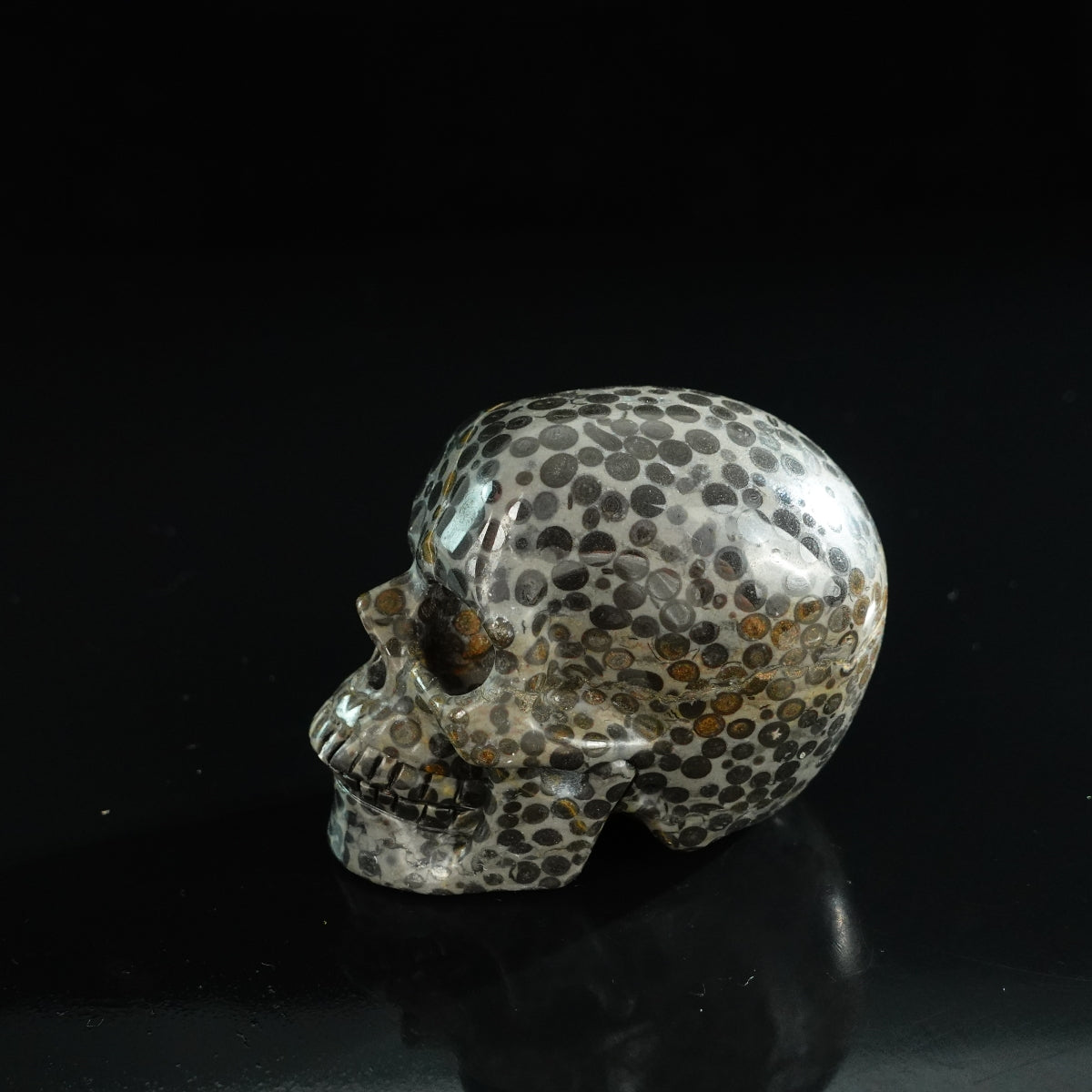 3.0" Leopard skin jasper Crystal Skull Carving - Unique Piece #LK06