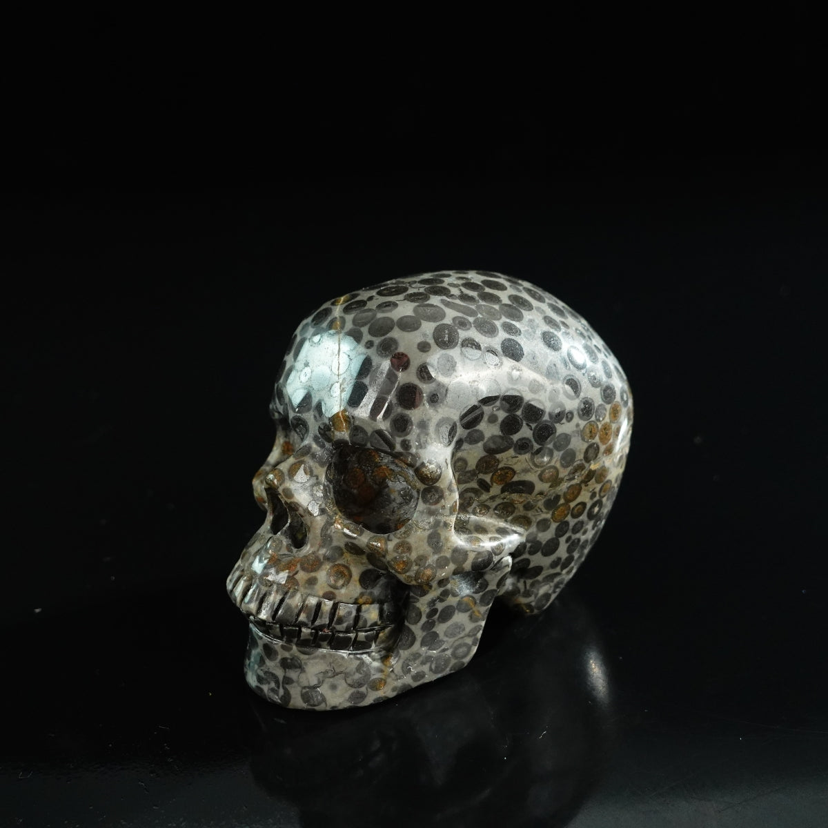 3.0" Leopard skin jasper Crystal Skull Carving - Unique Piece #LK06