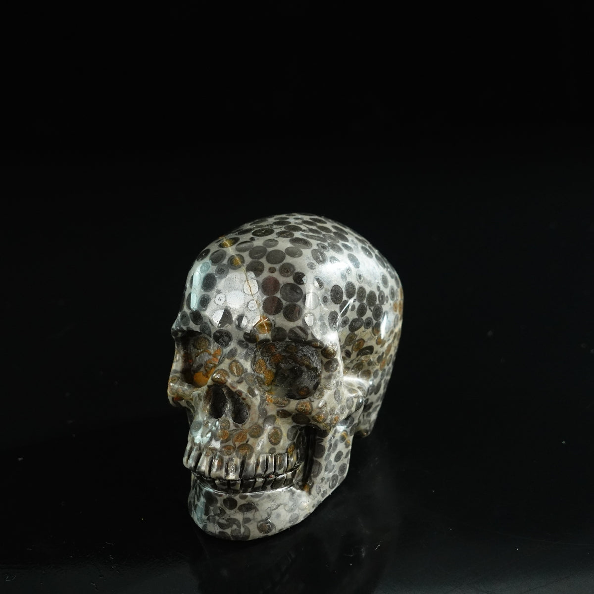 3.0" Leopard skin jasper Crystal Skull Carving - Unique Piece #LK06