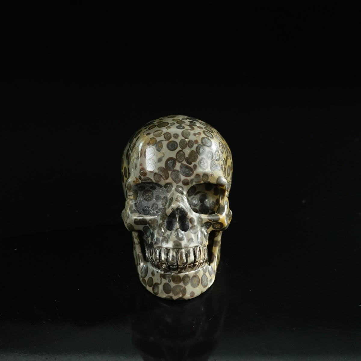 3.0" Leopard skin jasper Crystal Skull Carving - Unique Piece #LK07