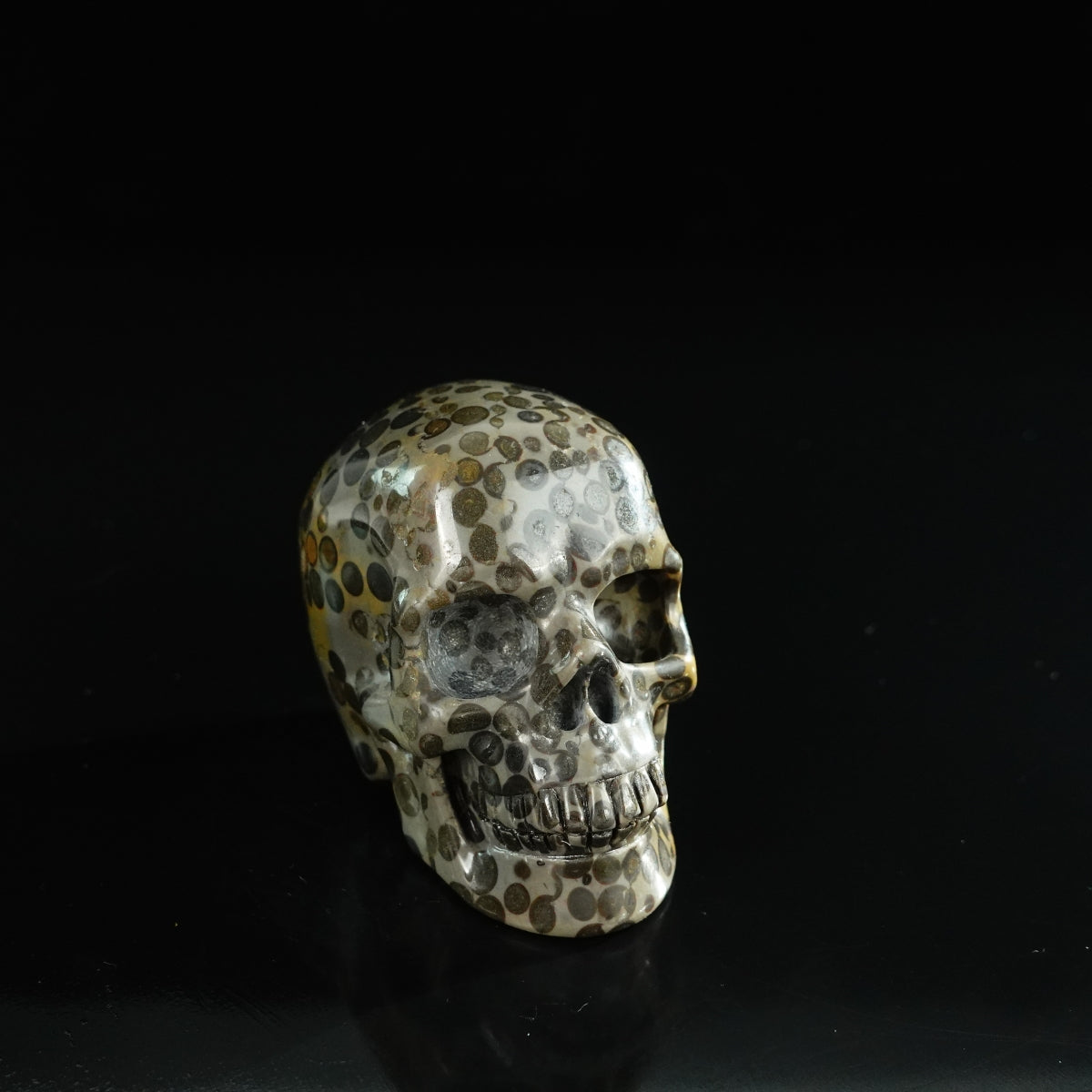 3.0" Leopard skin jasper Crystal Skull Carving - Unique Piece #LK07