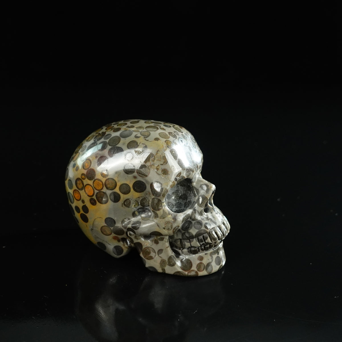 3.0" Leopard skin jasper Crystal Skull Carving - Unique Piece #LK07