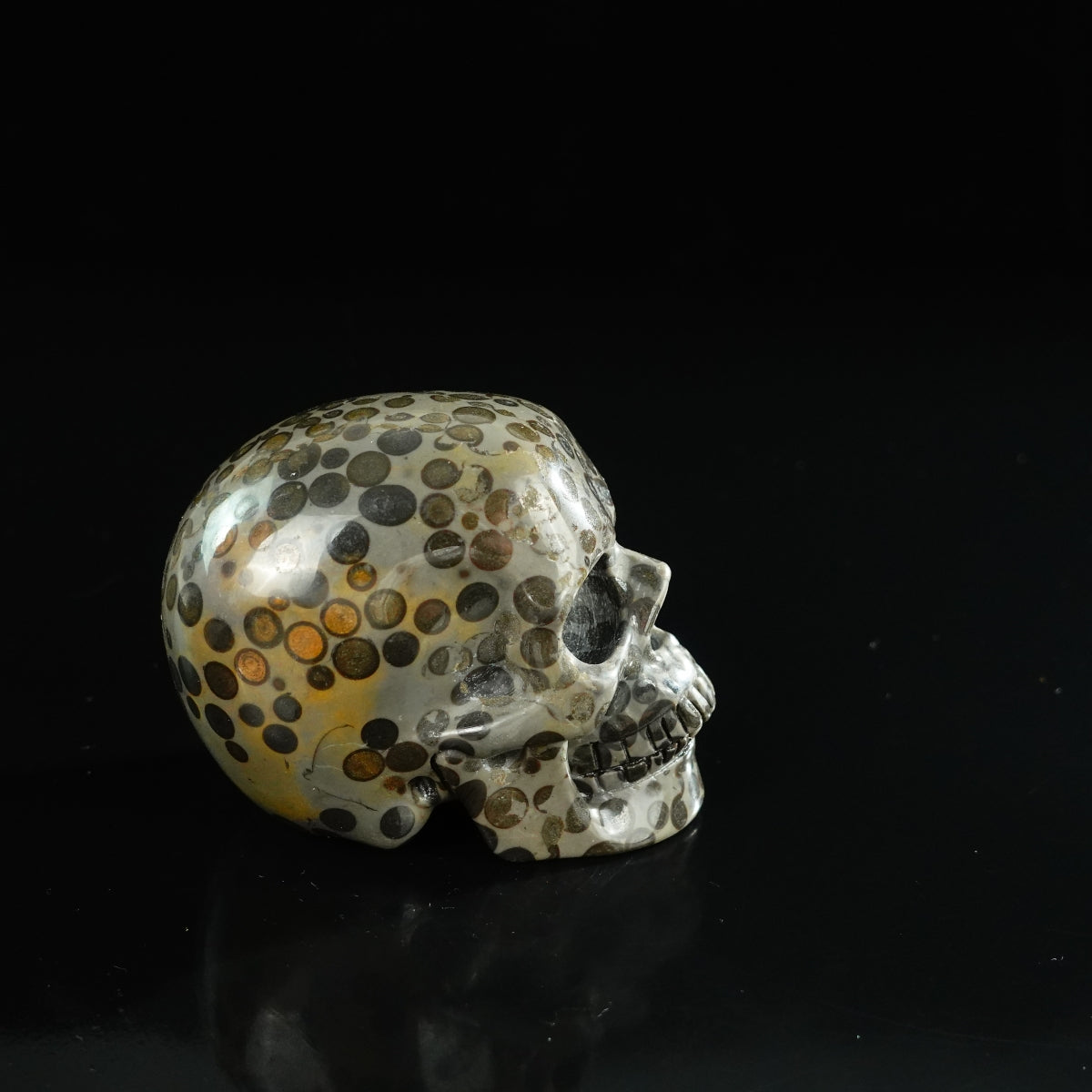 3.0" Leopard skin jasper Crystal Skull Carving - Unique Piece #LK07