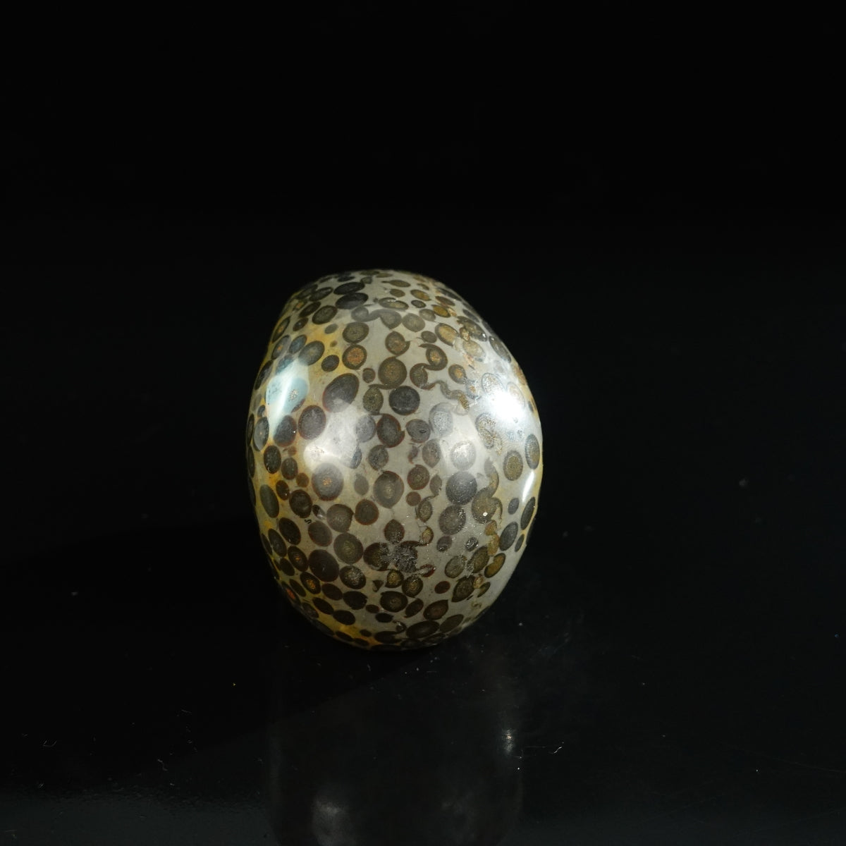 3.0" Leopard skin jasper Crystal Skull Carving - Unique Piece #LK07