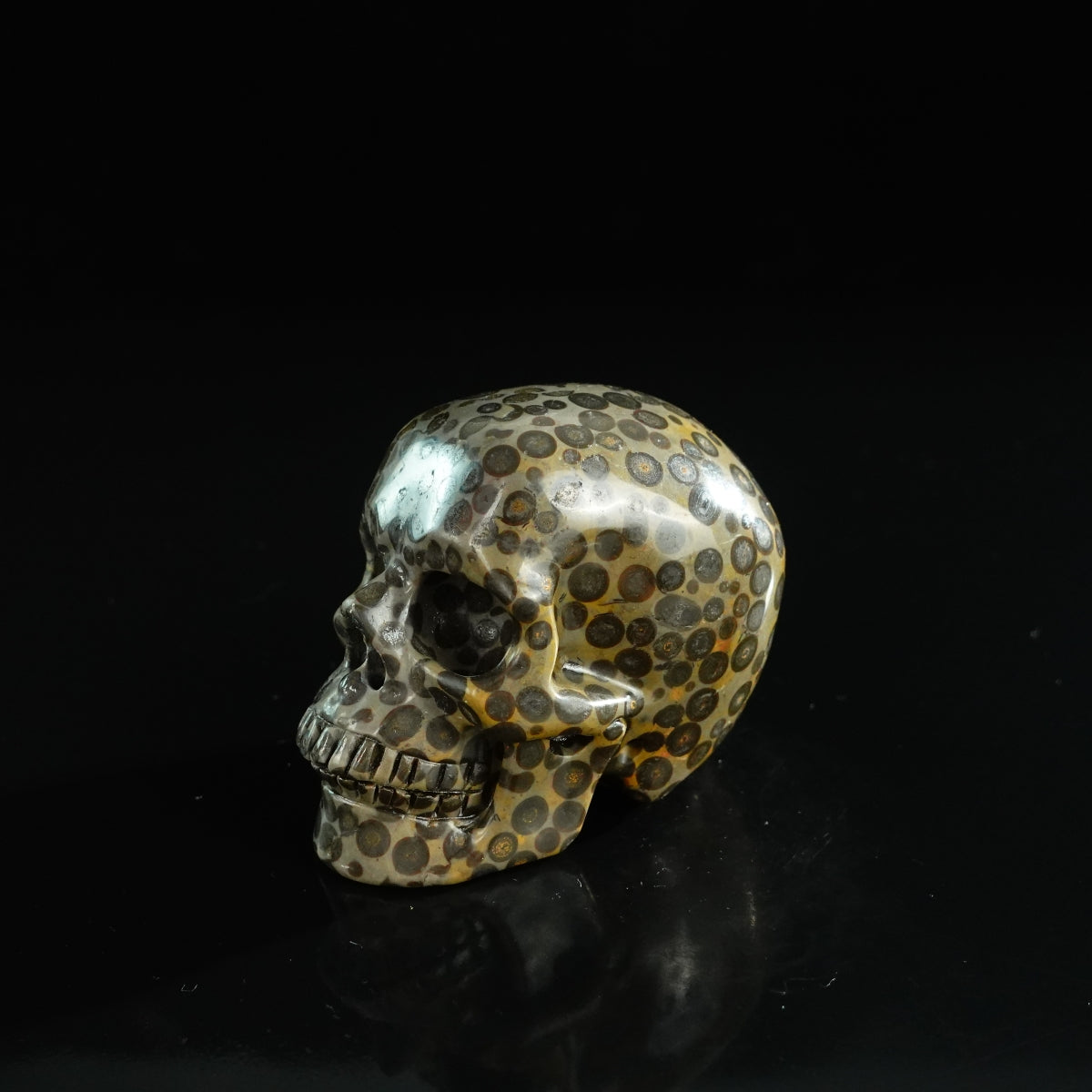 3.0" Leopard skin jasper Crystal Skull Carving - Unique Piece #LK07