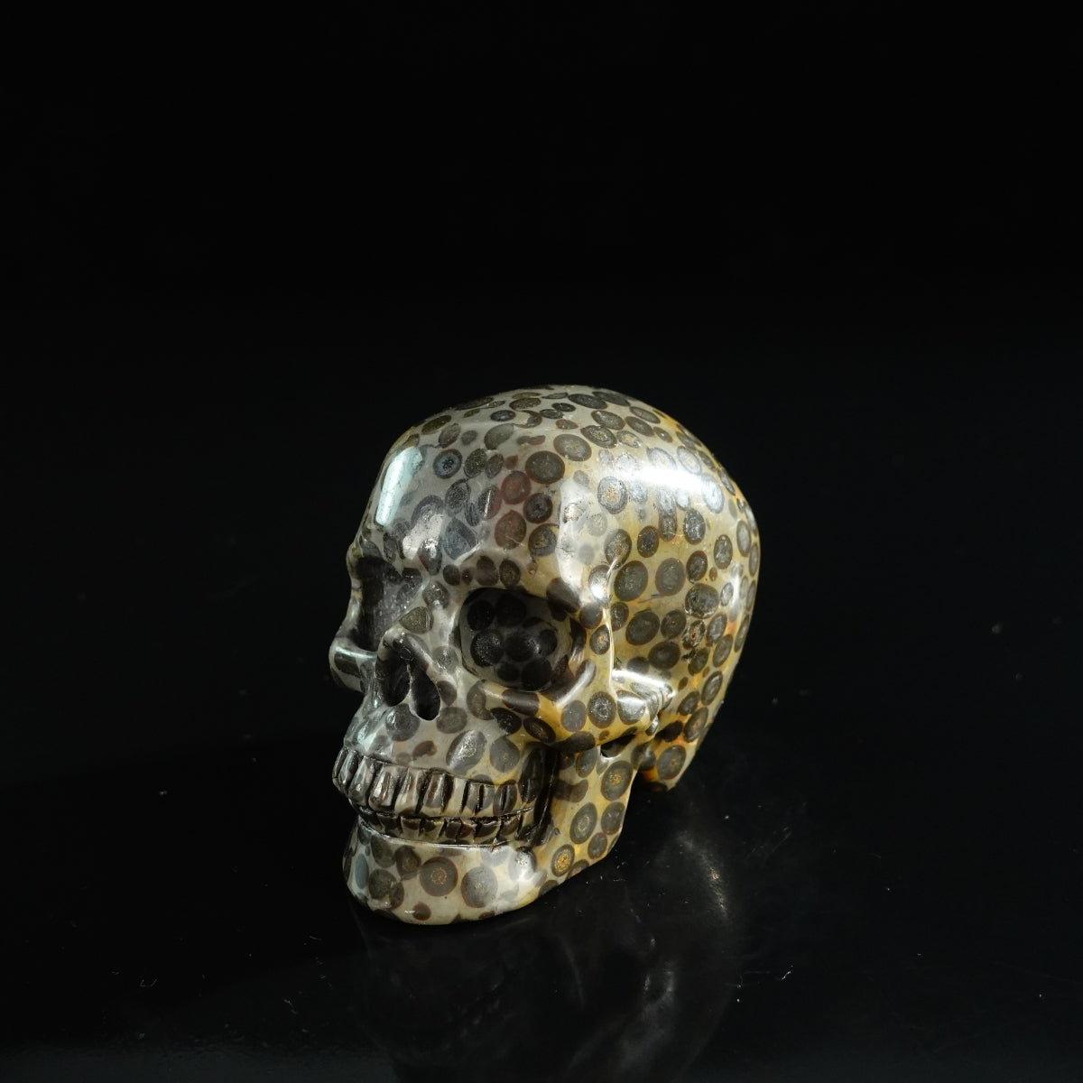 3.0" Leopard skin jasper Crystal Skull Carving - Unique Piece #LK07