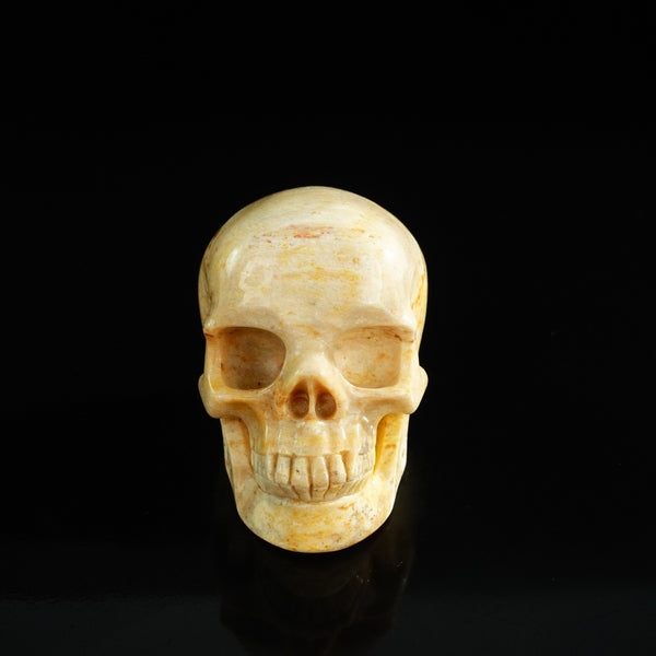 3.0" Coral Fossil Crystal Skull Carving - Unique Piece #CF01