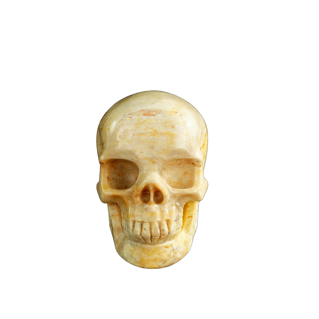 3.0" Coral Fossil Crystal Skull Carving - Unique Piece #CF01