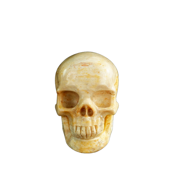 3.0" Coral Fossil Crystal Skull Carving - Unique Piece #CF01