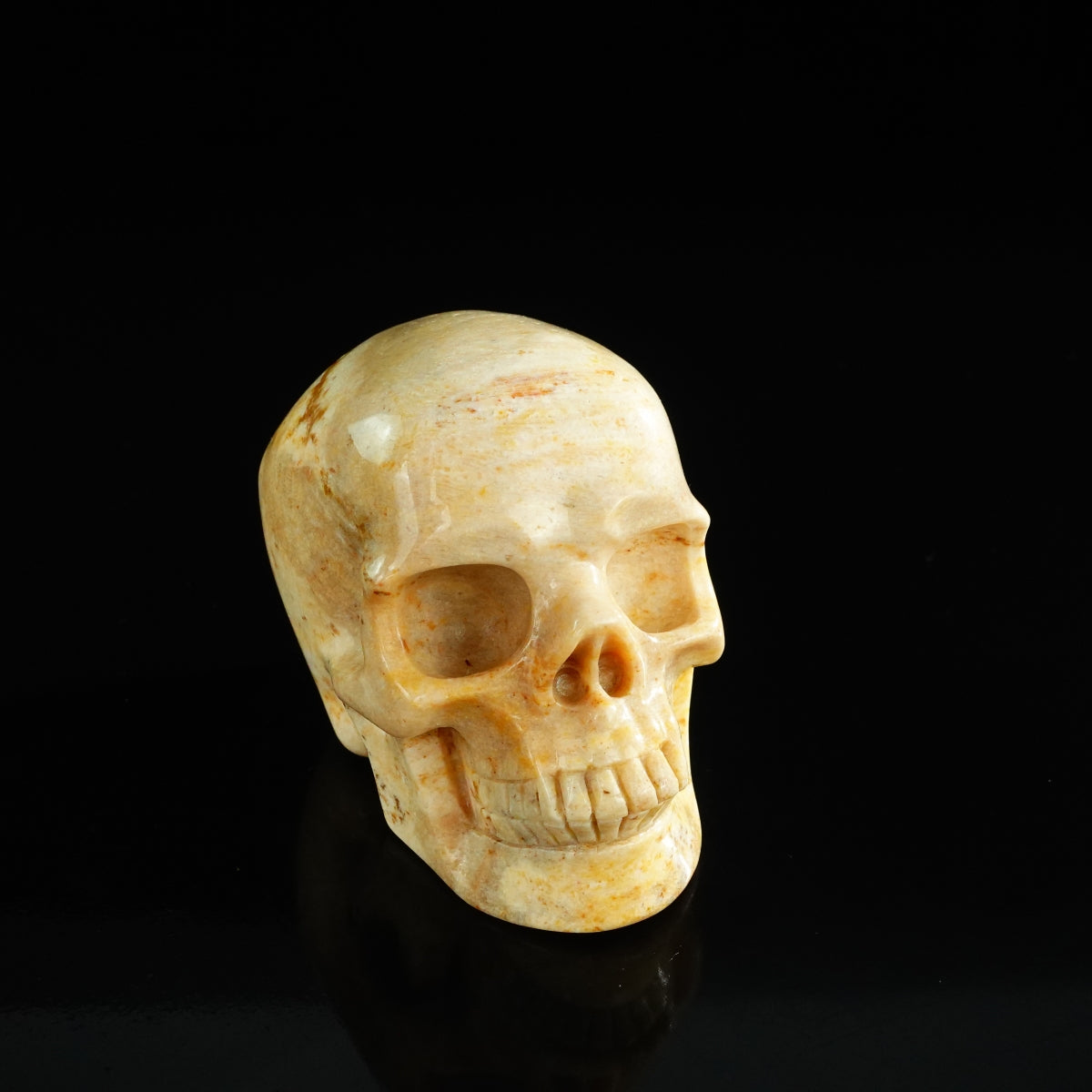 3.0" Coral Fossil Crystal Skull Carving - Unique Piece #CF01