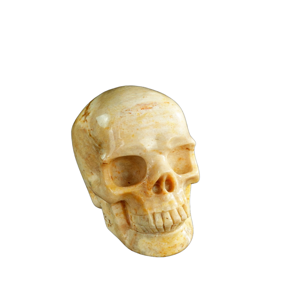3.0" Coral Fossil Crystal Skull Carving - Unique Piece #CF01