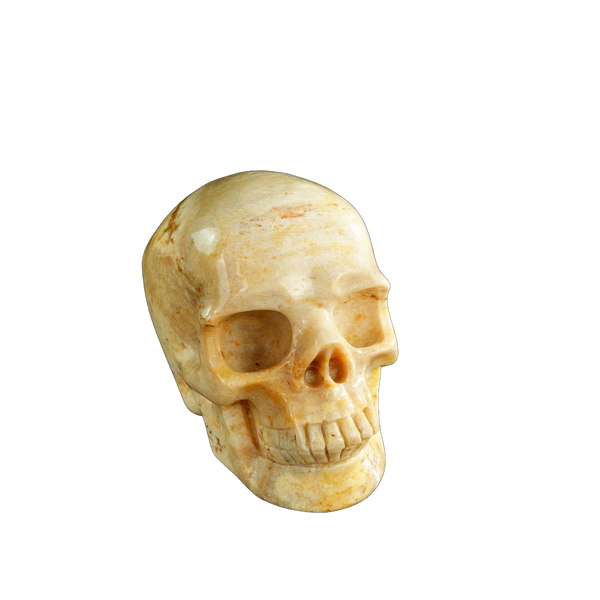 3.0" Coral Fossil Crystal Skull Carving - Unique Piece #CF01 - alternate view