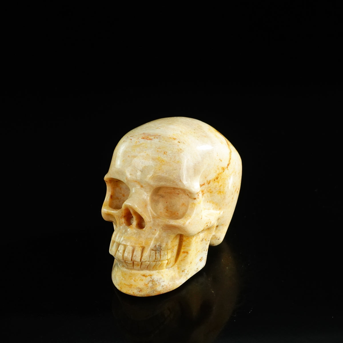 3.0" Coral Fossil Crystal Skull Carving - Unique Piece #CF01