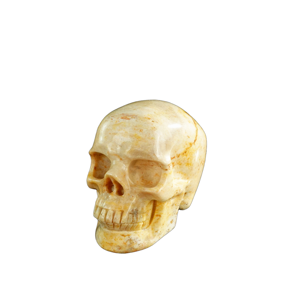 3.0" Coral Fossil Crystal Skull Carving - Unique Piece #CF01