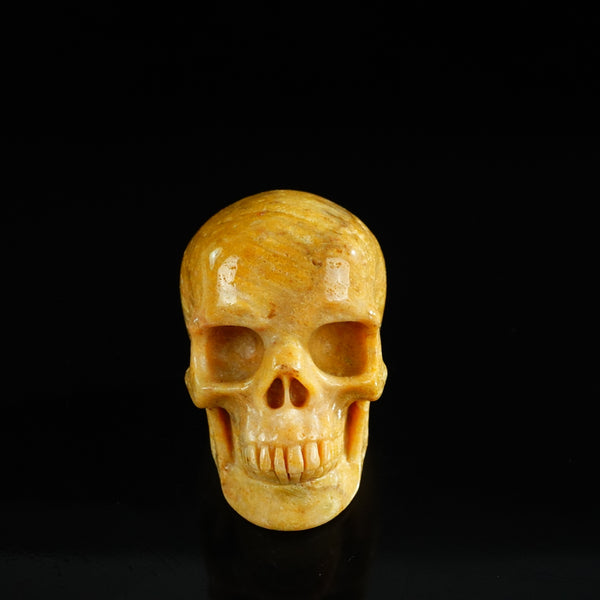 3.0" Coral Fossil Crystal Skull Carving - Unique Piece #CF02