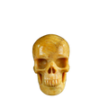 3.0" Coral Fossil Crystal Skull Carving - Unique Piece #CF02