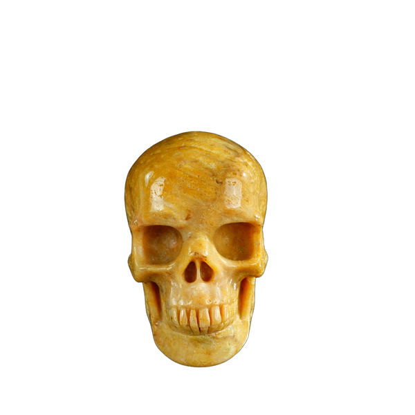 3.0" Coral Fossil Crystal Skull Carving - Unique Piece #CF02