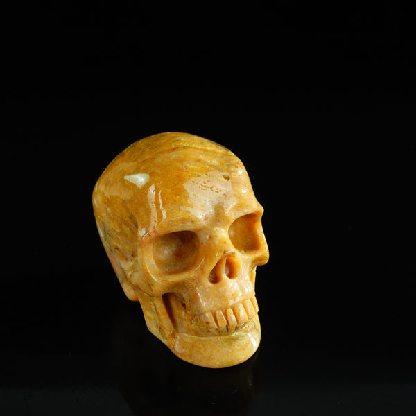 3.0" Coral Fossil Crystal Skull Carving - Unique Piece #CF02 - alternate view