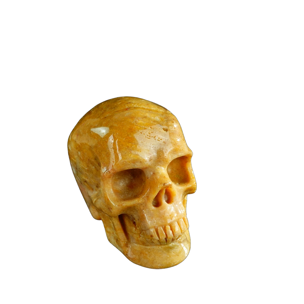 3.0" Coral Fossil Crystal Skull Carving - Unique Piece #CF02
