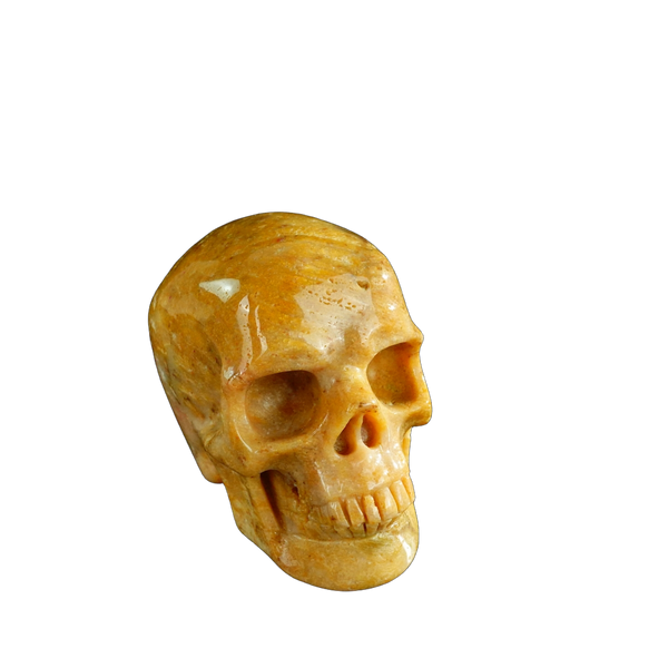 3.0" Coral Fossil Crystal Skull Carving - Unique Piece #CF02 - alternate view