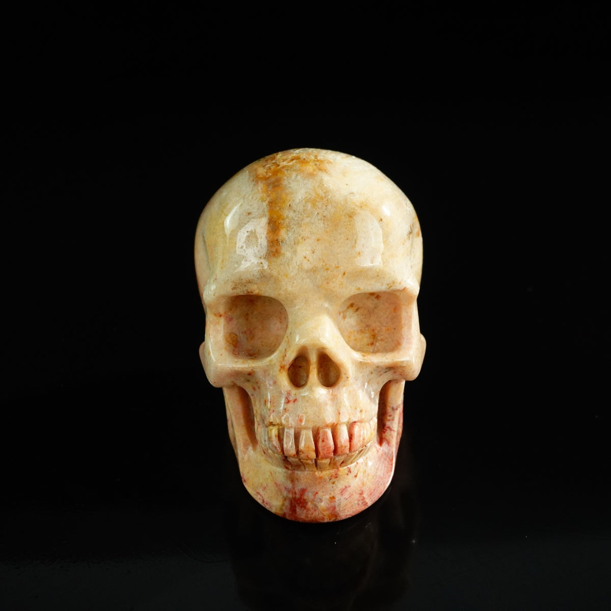 3.0" Coral Fossil Crystal Skull Carving - Unique Piece #CF03