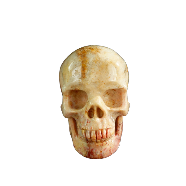 3.0" Coral Fossil Crystal Skull Carving - Unique Piece #CF03
