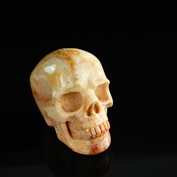 3.0" Coral Fossil Crystal Skull Carving - Unique Piece #CF03 - alternate view