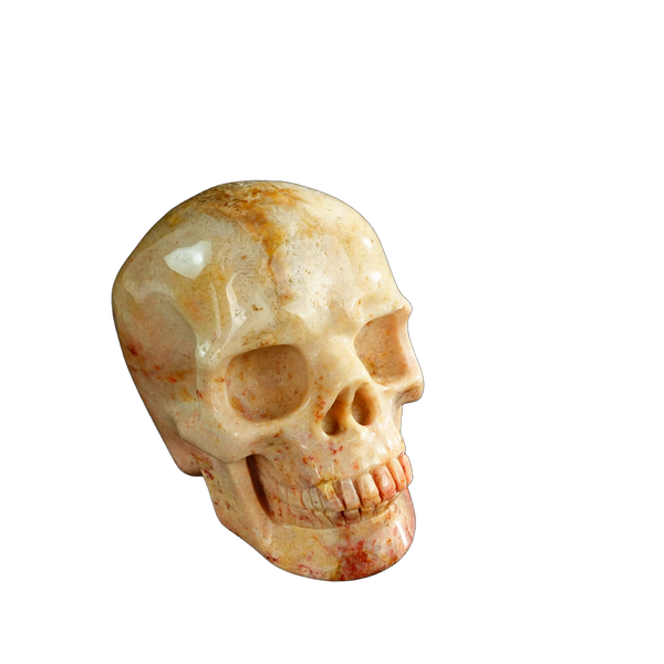 3.0" Coral Fossil Crystal Skull Carving - Unique Piece #CF03 - alternate view