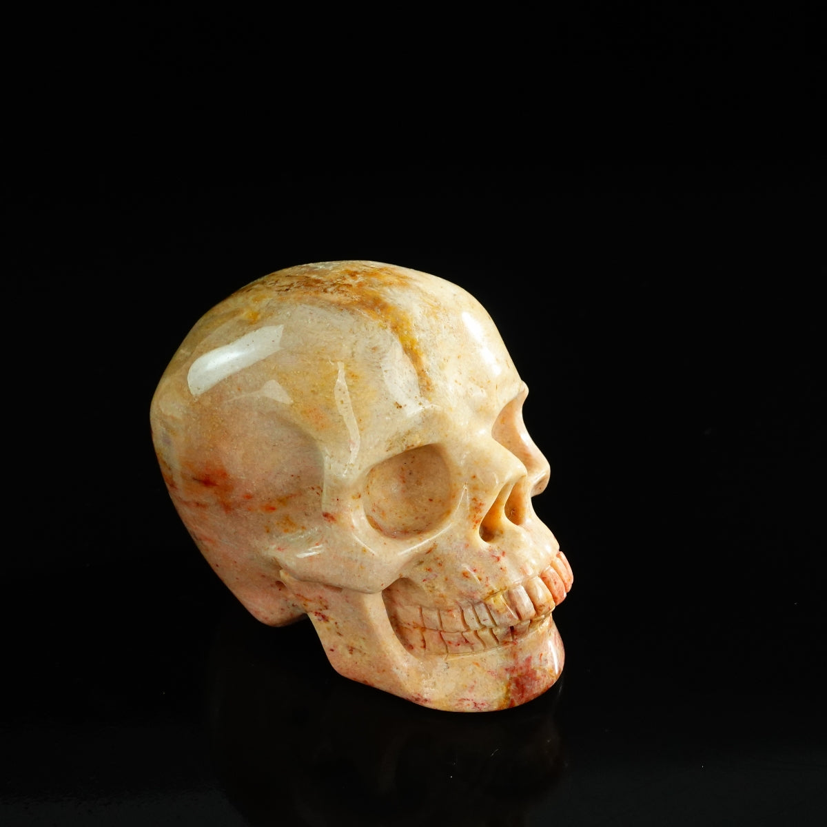 3.0" Coral Fossil Crystal Skull Carving - Unique Piece #CF03