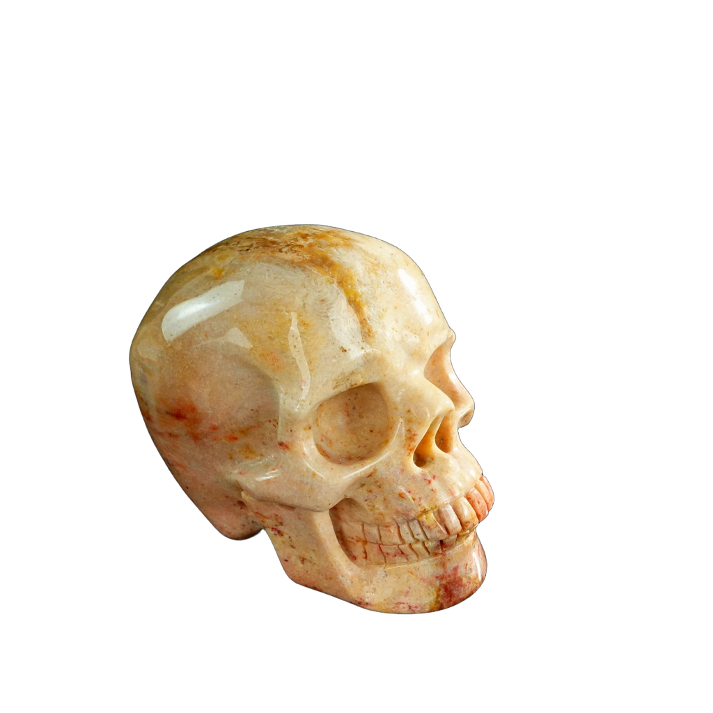 3.0" Coral Fossil Crystal Skull Carving - Unique Piece #CF03