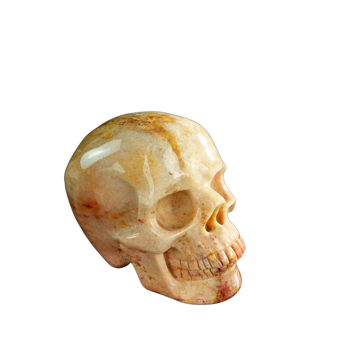 3.0" Coral Fossil Crystal Skull Carving - Unique Piece #CF03