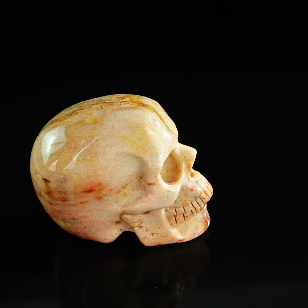 3.0" Coral Fossil Crystal Skull Carving - Unique Piece #CF03