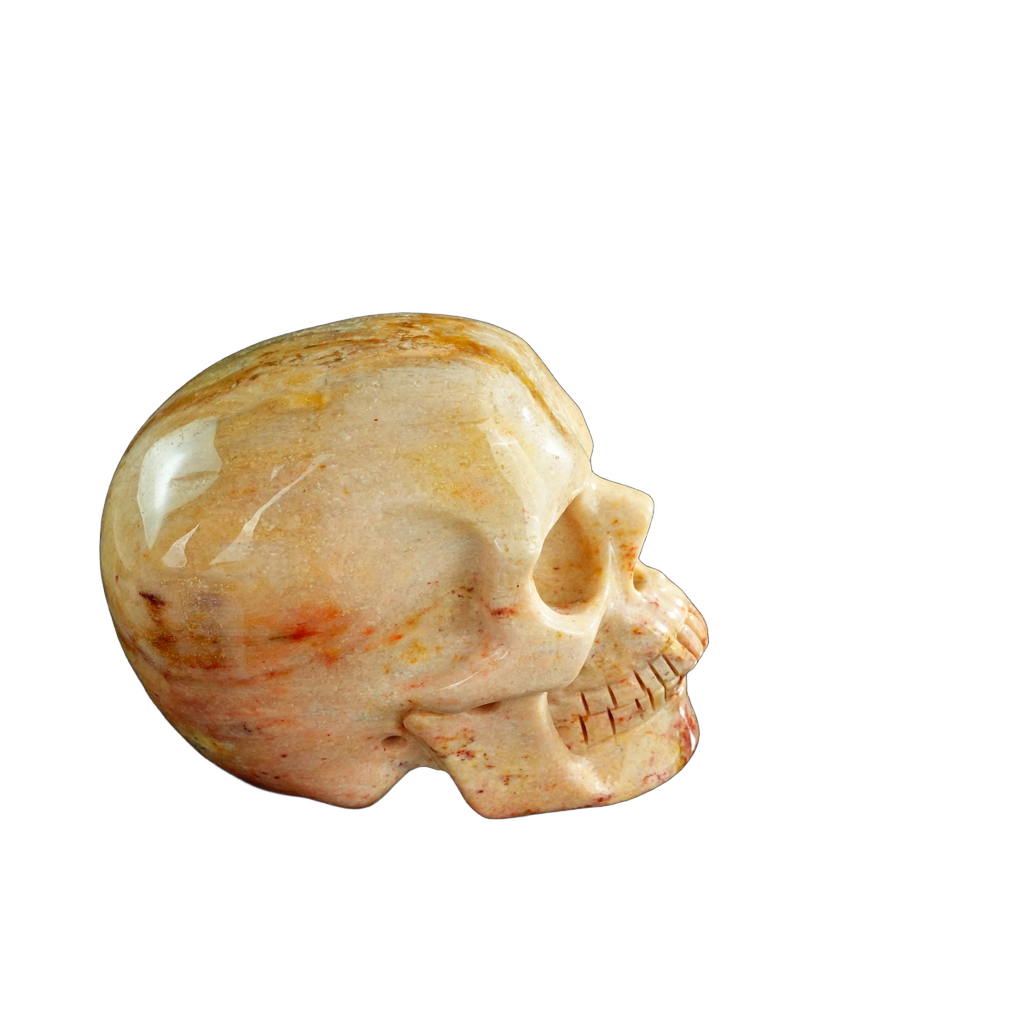 3.0" Coral Fossil Crystal Skull Carving - Unique Piece #CF03