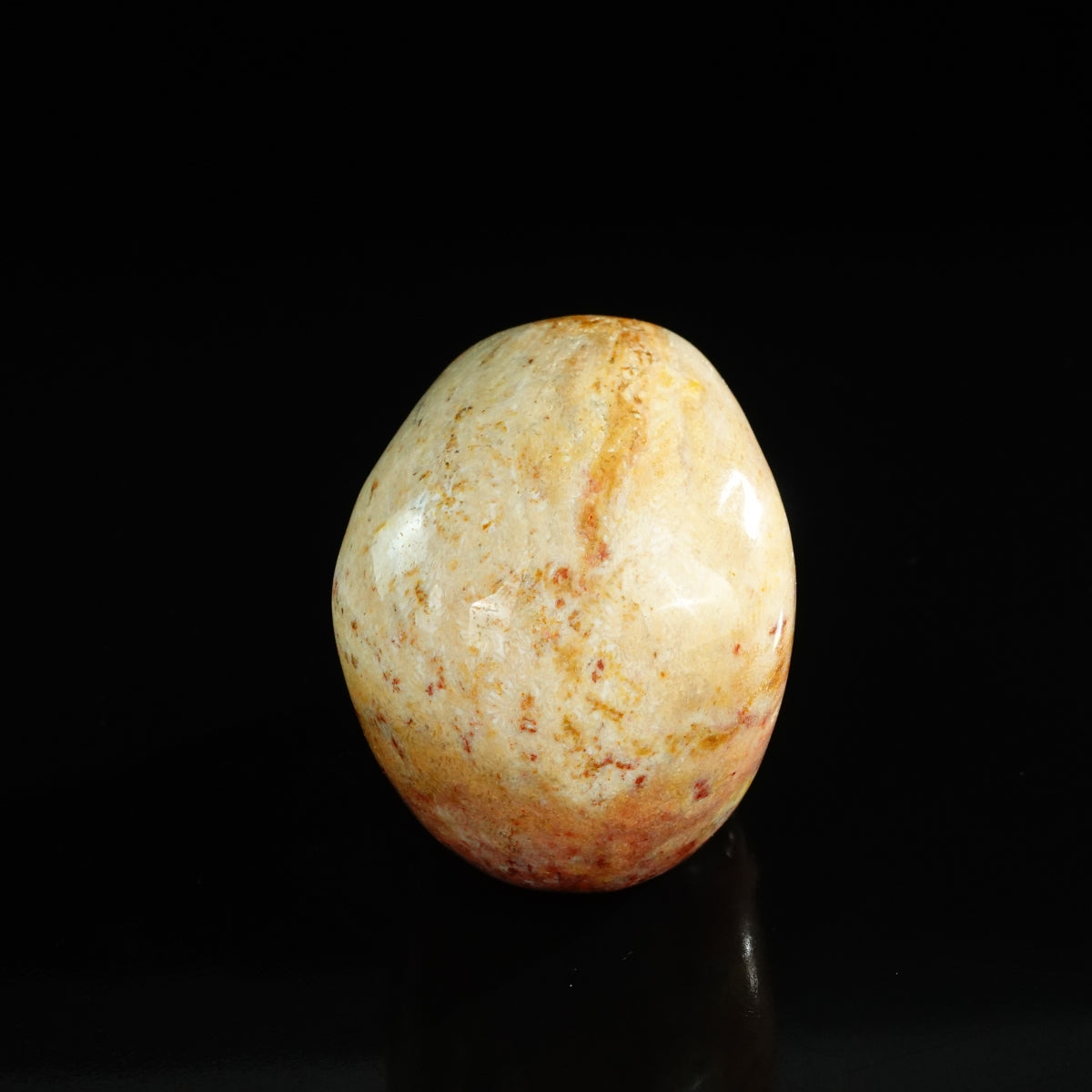 3.0" Coral Fossil Crystal Skull Carving - Unique Piece #CF03