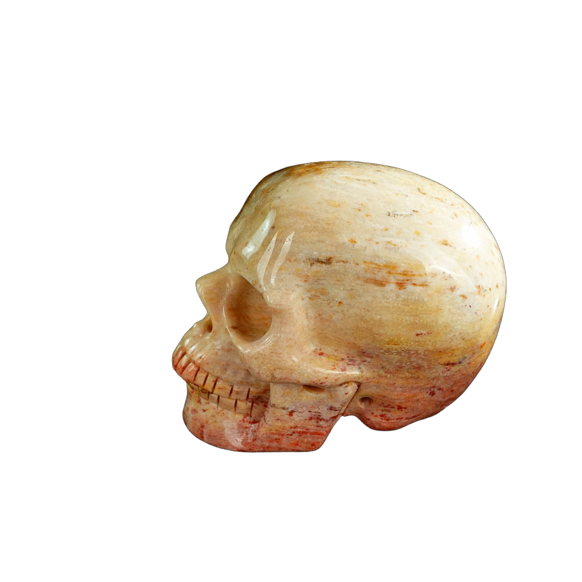 3.0" Coral Fossil Crystal Skull Carving - Unique Piece #CF03
