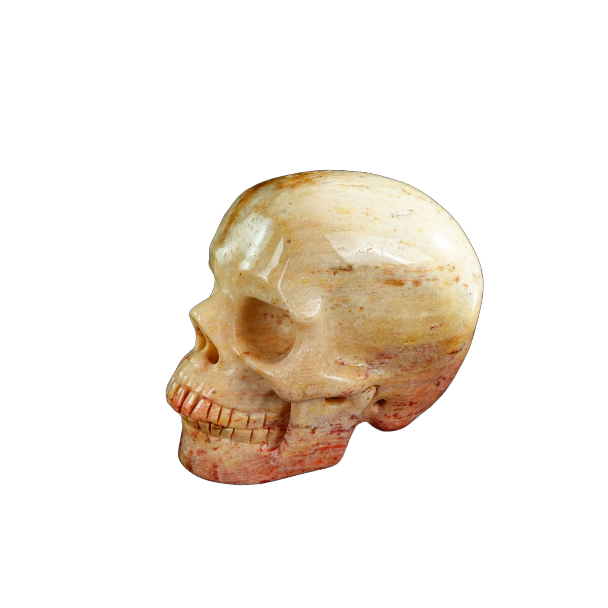 3.0" Coral Fossil Crystal Skull Carving - Unique Piece #CF03
