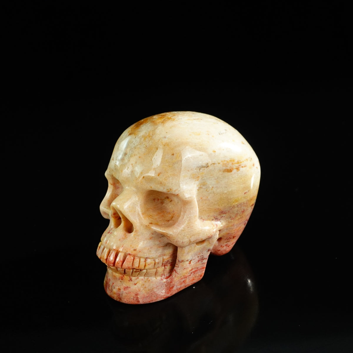 3.0" Coral Fossil Crystal Skull Carving - Unique Piece #CF03