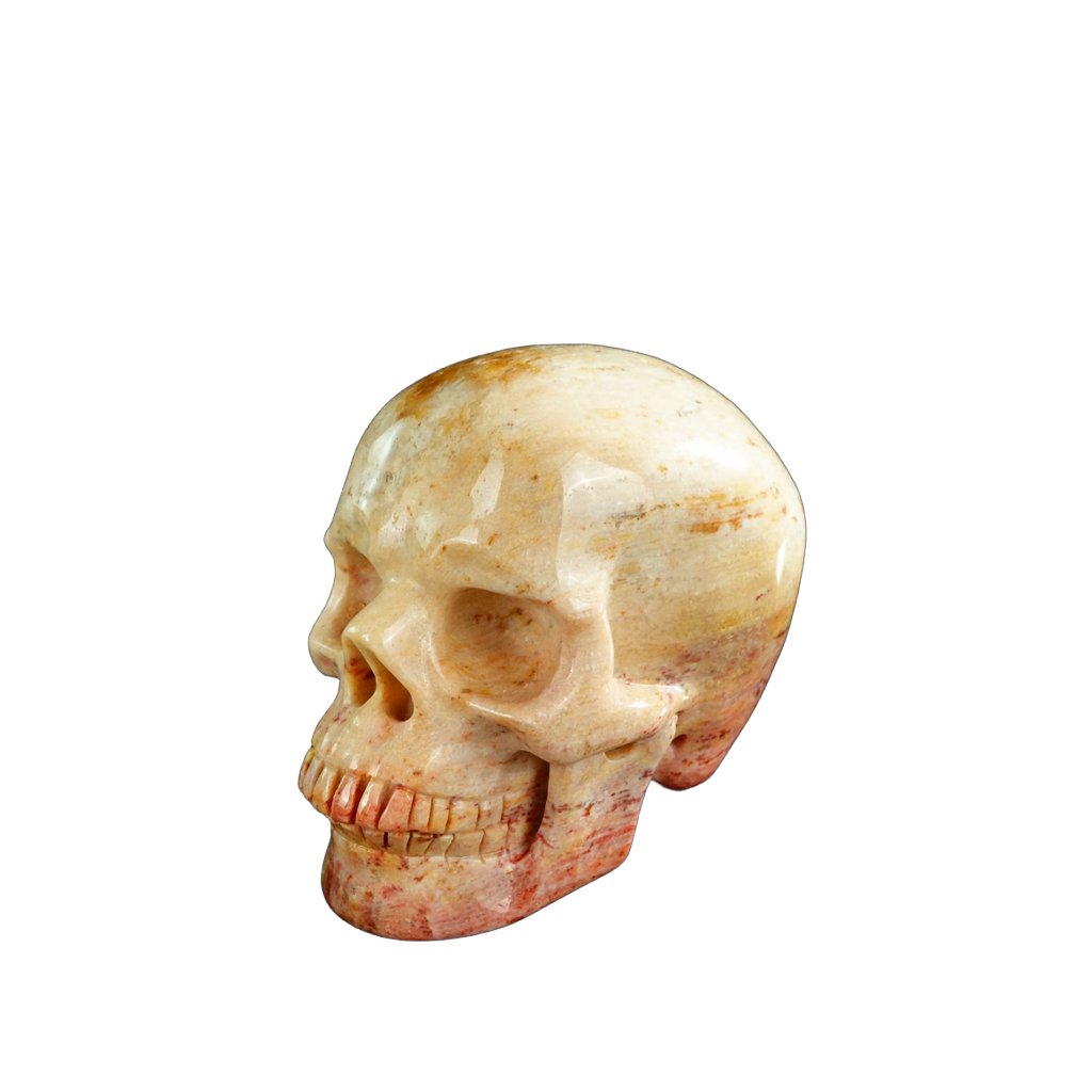 3.0" Coral Fossil Crystal Skull Carving - Unique Piece #CF03