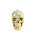 3.0" Coral Fossil Crystal Skull Carving - Unique Piece #CF04