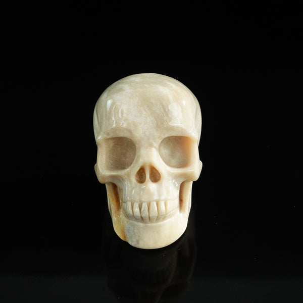 3.0" Coral Fossil Crystal Skull Carving - Unique Piece #CF06