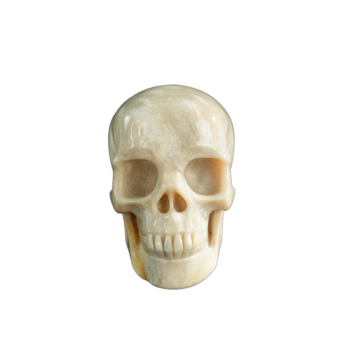 3.0" Coral Fossil Crystal Skull Carving - Unique Piece #CF06