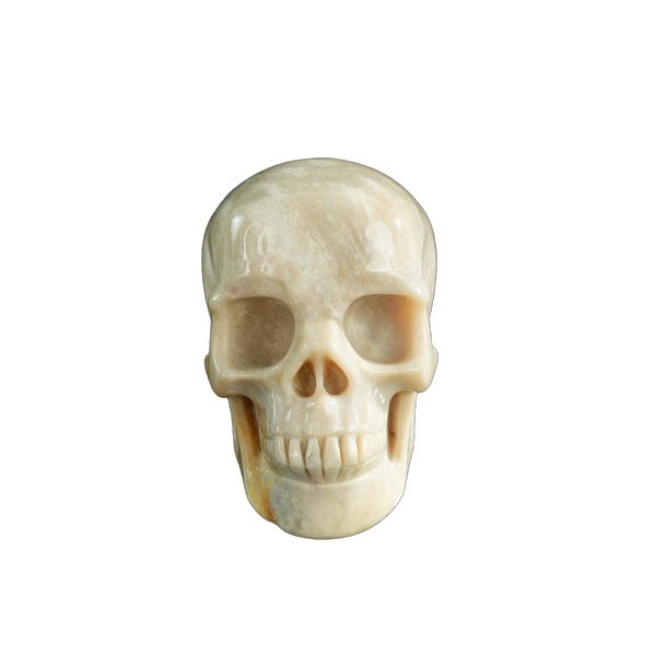3.0" Coral Fossil Crystal Skull Carving - Unique Piece #CF06