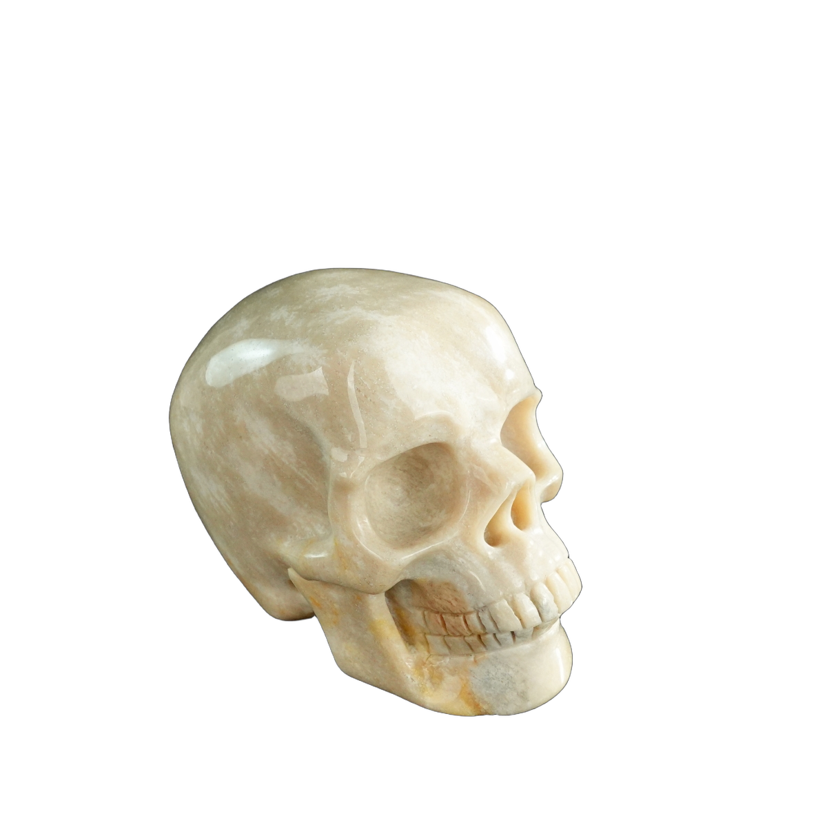 3.0" Coral Fossil Crystal Skull Carving - Unique Piece #CF06