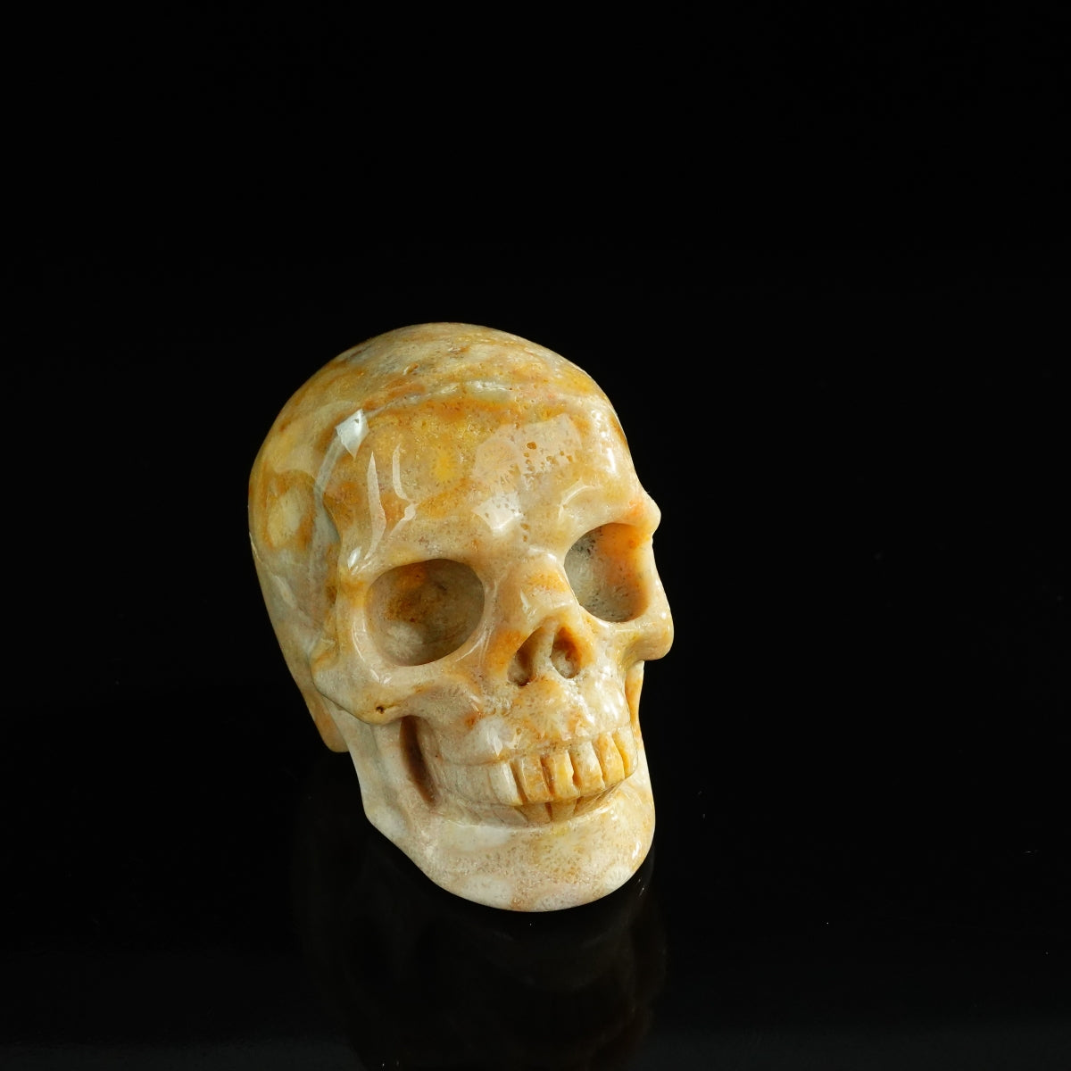 3.0" Coral Fossil Crystal Skull Carving - Unique Piece #CF07