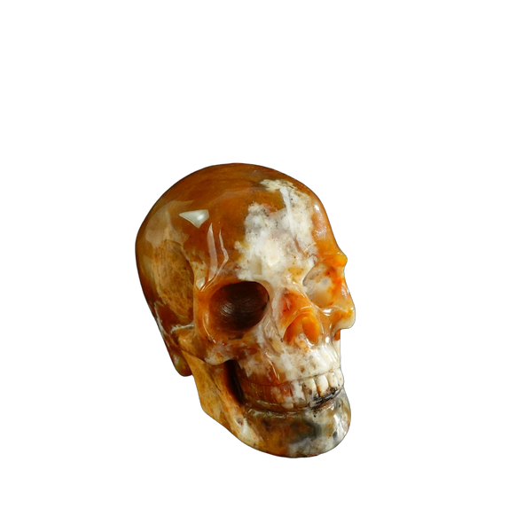 3.0" Chalcedony Jasper Crystal Skull Carving - Unique Piece #CJ05 - alternate view