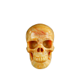 3.0" Chalcedony Jasper Crystal Skull Carving - Unique Piece #CJ06