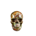 3.0" Dragon Blood Jasper Crystal Skull Carving - Unique Piece #DB14