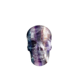 3.0" Fluorite Crystal Skull Carving - Unique Piece #GF06